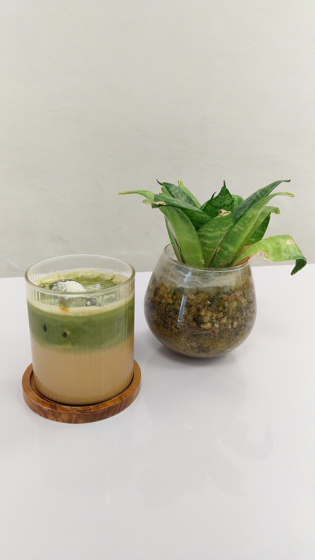 Is it OK to Drink Matcha Every Day?